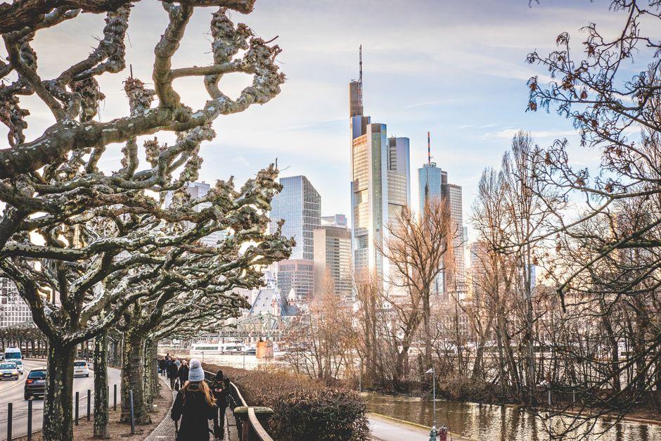 Park with the View of a Skyscraper Complex in Frankfurt Am Main Germany
