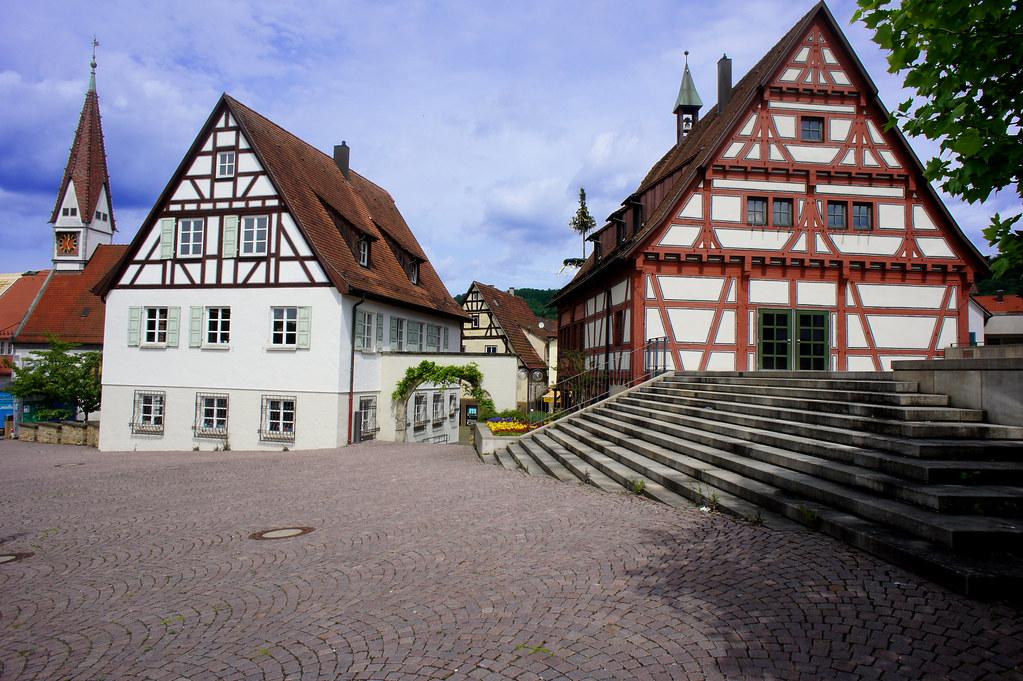Frankfurt Parks Transform Dog Walks Into Social Fitness Hubs This Summer